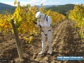 Star Wars Catalunya Mas rodo_02