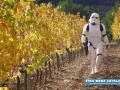 Star Wars Catalunya Mas rodo_04