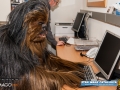 Star Wars Catalunya hospital sant joan de deu 34.jpg